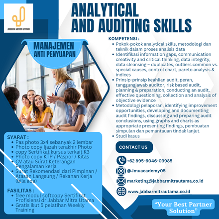 Analytical and Auditing Skills